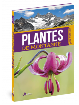 PLANTES DE MONTAGNE