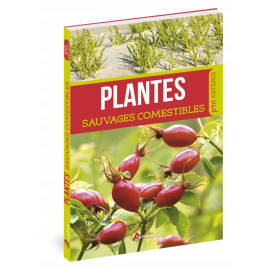 PLANTES SAUVAGES COMESTIBLES