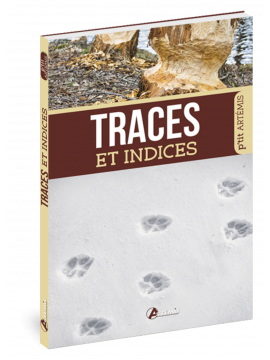 TRACES ET INDICES