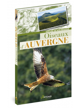 OISEAUX D'AUVERGNE