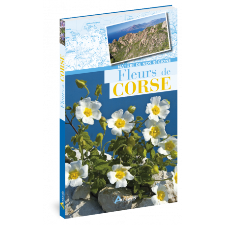 FLEURS DE CORSE