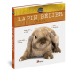 LAPIN BELIER NAIN