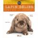 LAPIN BELIER NAIN