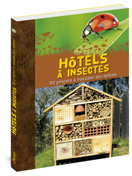 HOTELS A INSECTES