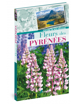 FLEURS DES PYRENEES