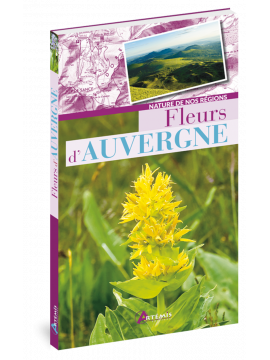 FLEURS D'AUVERGNE