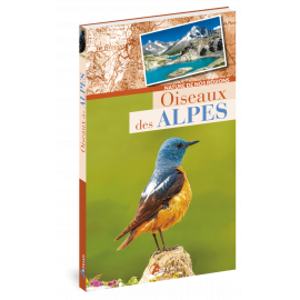 OISEAUX DES ALPES