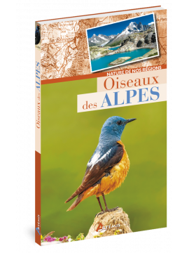 OISEAUX DES ALPES