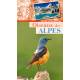 OISEAUX DES ALPES