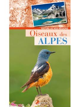 OISEAUX DES ALPES