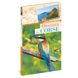 OISEAUX DE CORSE