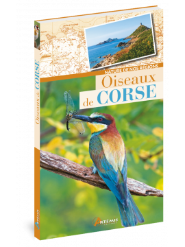 OISEAUX DE CORSE