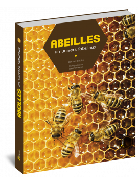 ABEILLES - UN UNIVERS FABULEUX