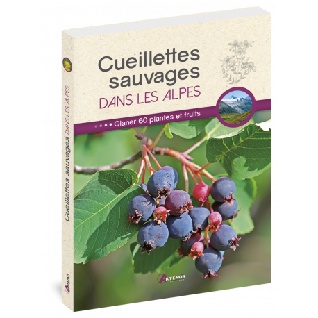 CUEILLETTES SAUVAGES DANS LES ALPES