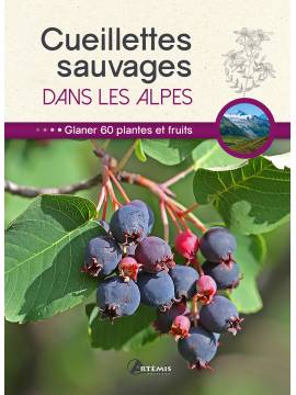 CUEILLETTES SAUVAGES DANS LES ALPES