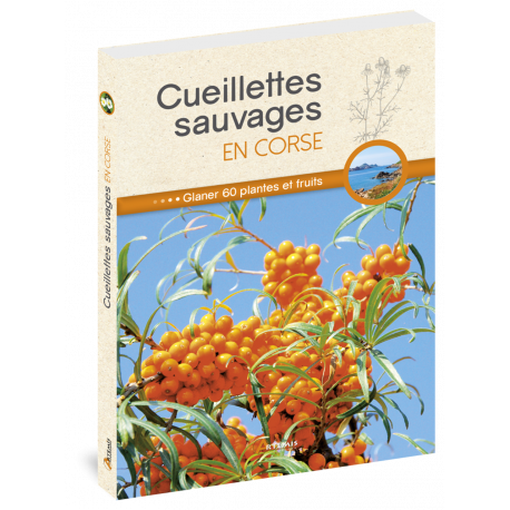 CUEILLETTES SAUVAGES EN CORSE