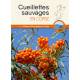 CUEILLETTES SAUVAGES EN CORSE