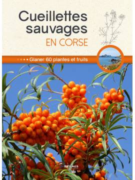 CUEILLETTES SAUVAGES EN CORSE