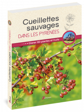 CUEILLETTES SAUVAGES DANS LES PYRENEES