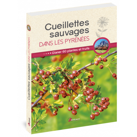 CUEILLETTES SAUVAGES DANS LES PYRENEES