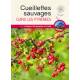 CUEILLETTES SAUVAGES DANS LES PYRENEES