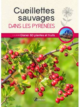 CUEILLETTES SAUVAGES DANS LES PYRENEES