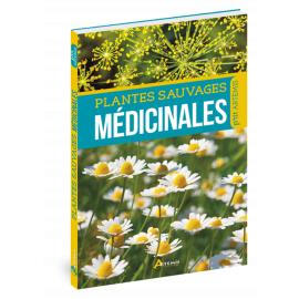 PLANTES SAUVAGES MEDICINALES