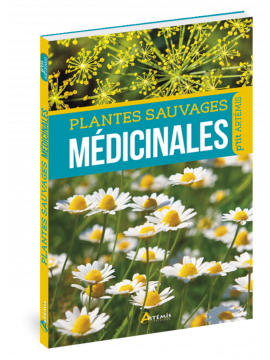 PLANTES SAUVAGES MEDICINALES