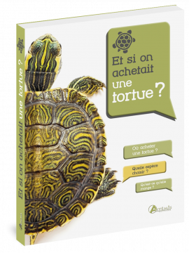 ET SI ON ACHETAIT UNE TORTUE ?