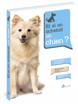 ET SI ON ACHETAIT UN CHIEN ?