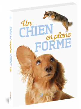 UN CHIEN EN PLEINE FORME