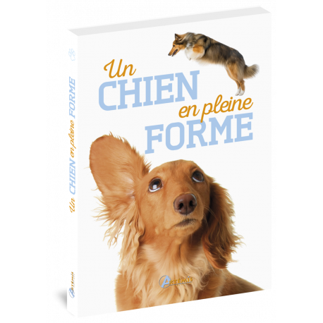 UN CHIEN EN PLEINE FORME