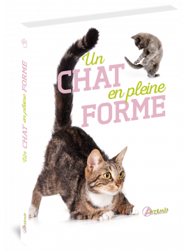 UN CHAT EN PLEINE FORME