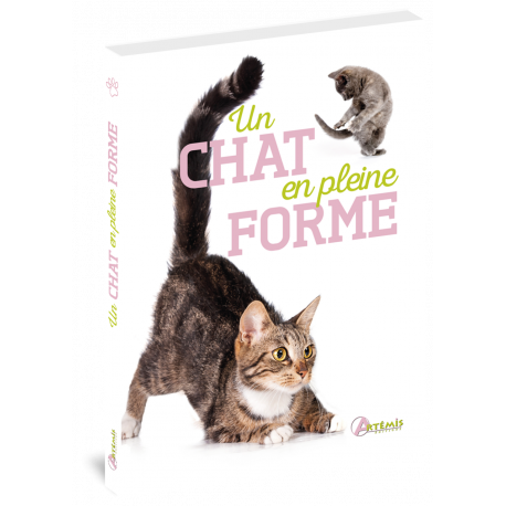 UN CHAT EN PLEINE FORME