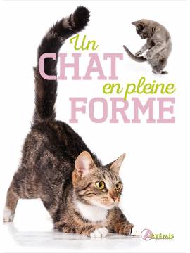 UN CHAT EN PLEINE FORME