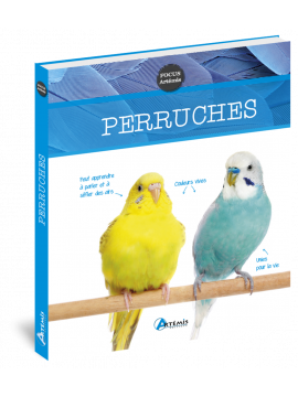 PERRUCHES