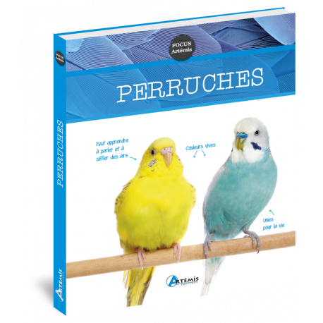 PERRUCHES