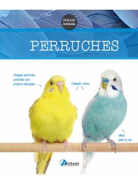 PERRUCHES