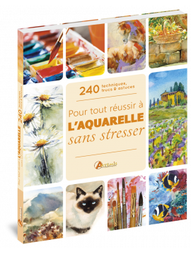 POUR TOUT REUSSIR A L'AQUARELLE SANS STRESSER