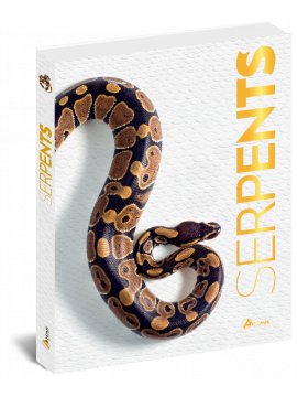 SERPENTS