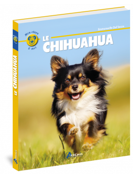 LE CHIHUAHUA