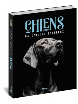 CHIENS - UN UNIVERS FABULEUX