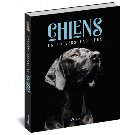 CHIENS - UN UNIVERS FABULEUX