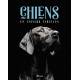 CHIENS - UN UNIVERS FABULEUX