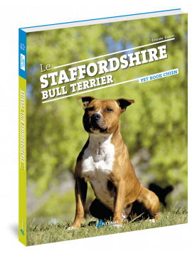 STAFFORDSHIRE BULL TERRIER