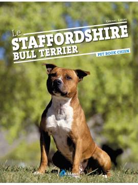 STAFFORDSHIRE BULL TERRIER