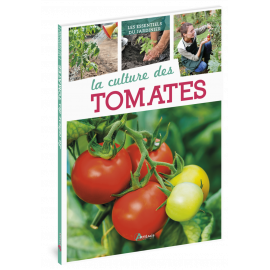 LA CULTURE DES TOMATES