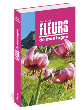 FLEURS DE MONTAGNE