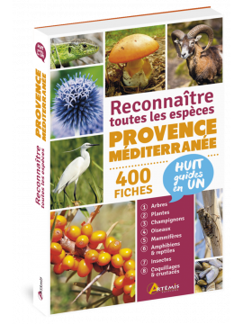 PROVENCE MEDITERRANEE RECONNAITRE TOUTES LES ESPECES