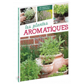 LES PLANTES AROMATIQUES